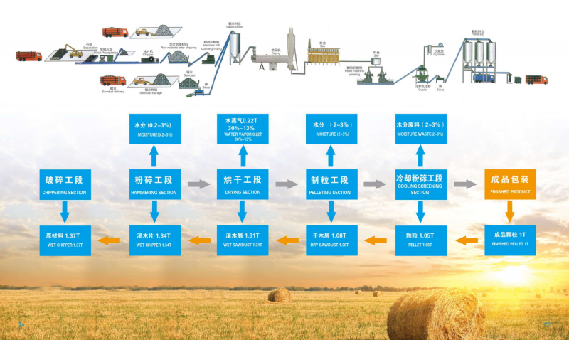 mk体育宣传册_13 - 副本.png